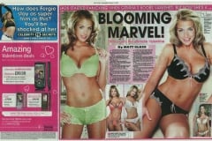 Daily-Star-DPS-13.2